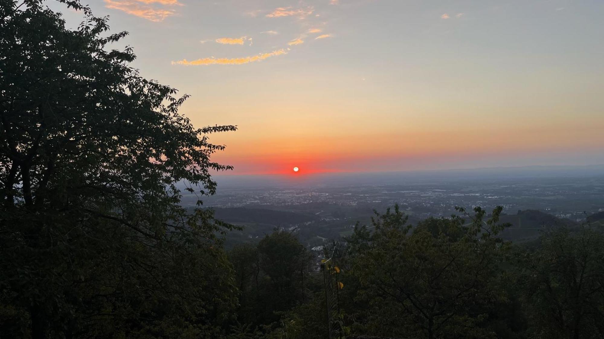 Appartamento Haus "Guck - Ins - Tal" Sasbachwalden Esterno foto