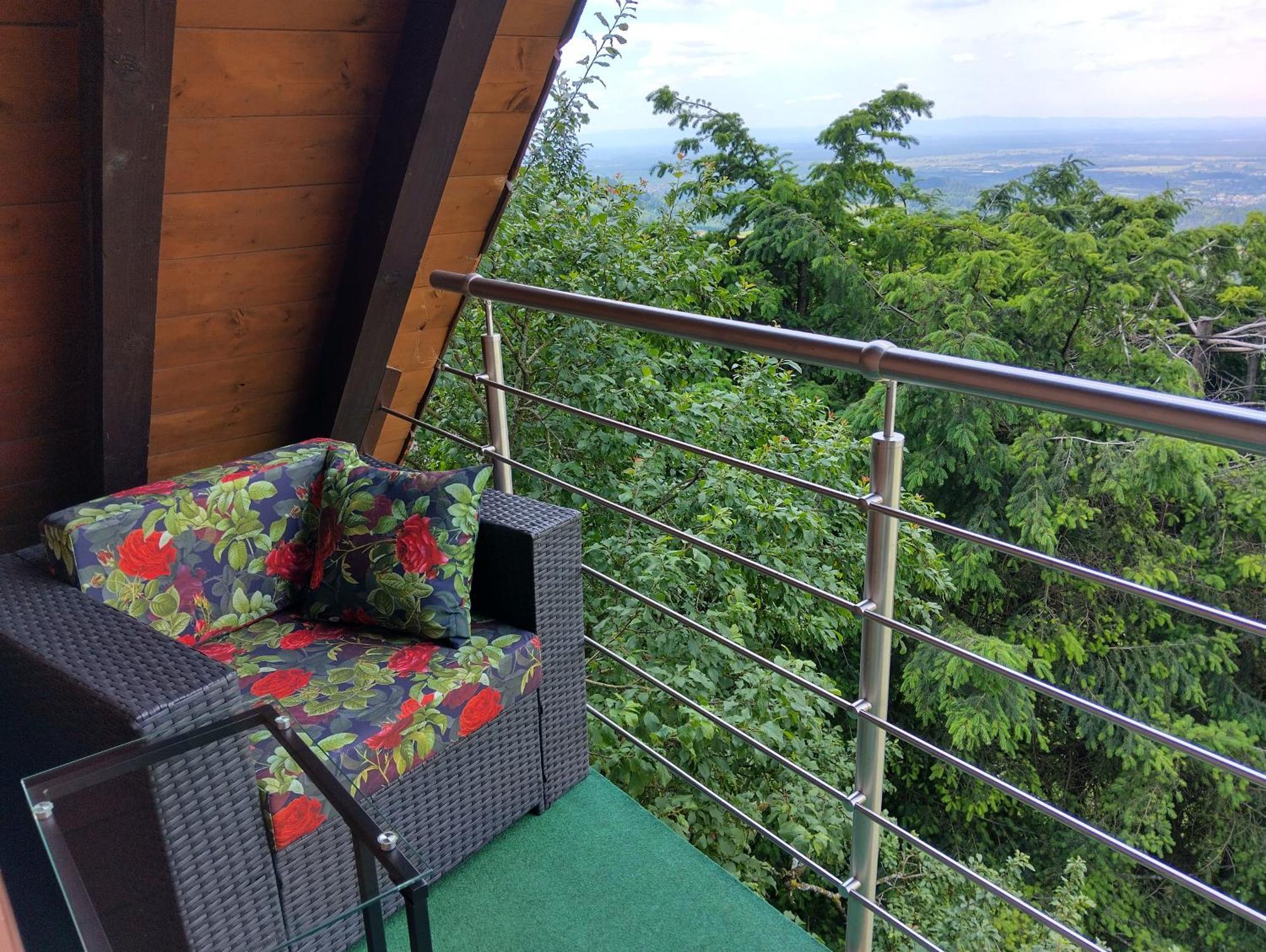 Appartamento Haus "Guck - Ins - Tal" Sasbachwalden Esterno foto