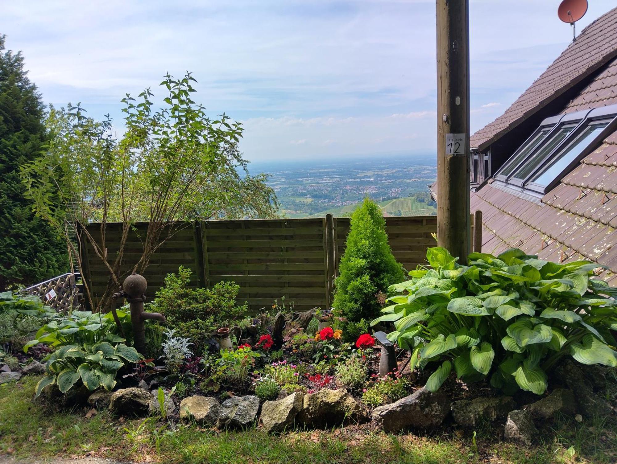 Appartamento Haus "Guck - Ins - Tal" Sasbachwalden Esterno foto