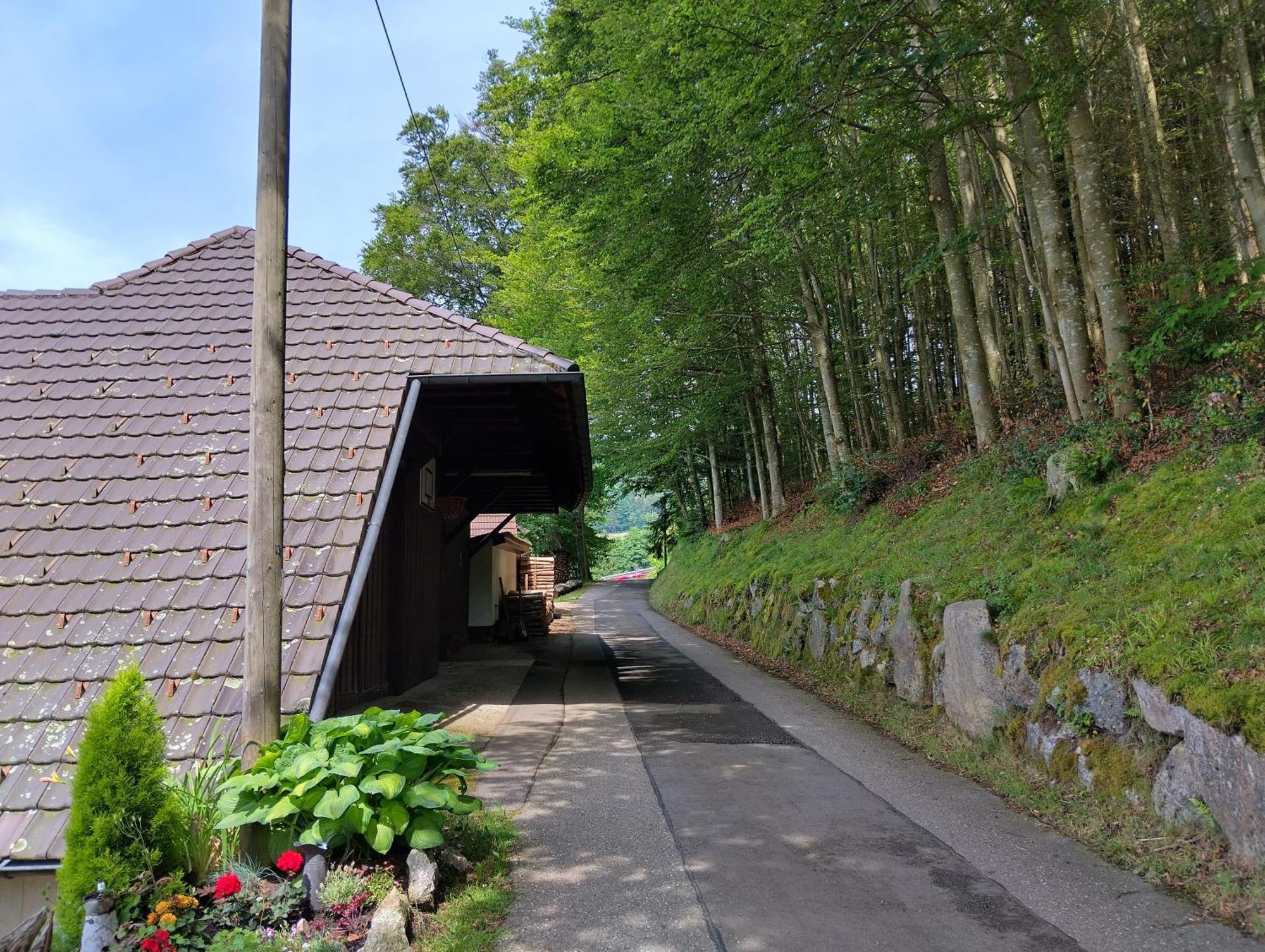 Appartamento Haus "Guck - Ins - Tal" Sasbachwalden Esterno foto