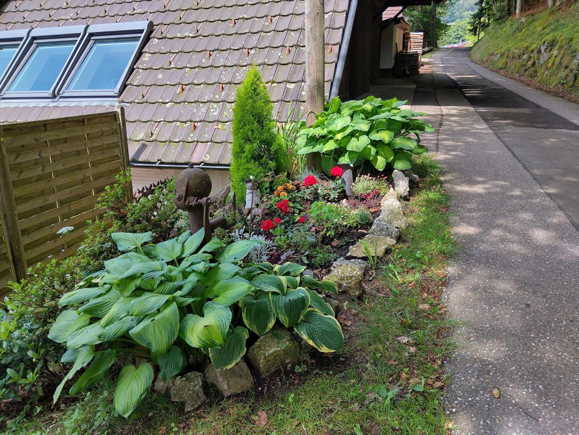 Appartamento Haus "Guck - Ins - Tal" Sasbachwalden Esterno foto