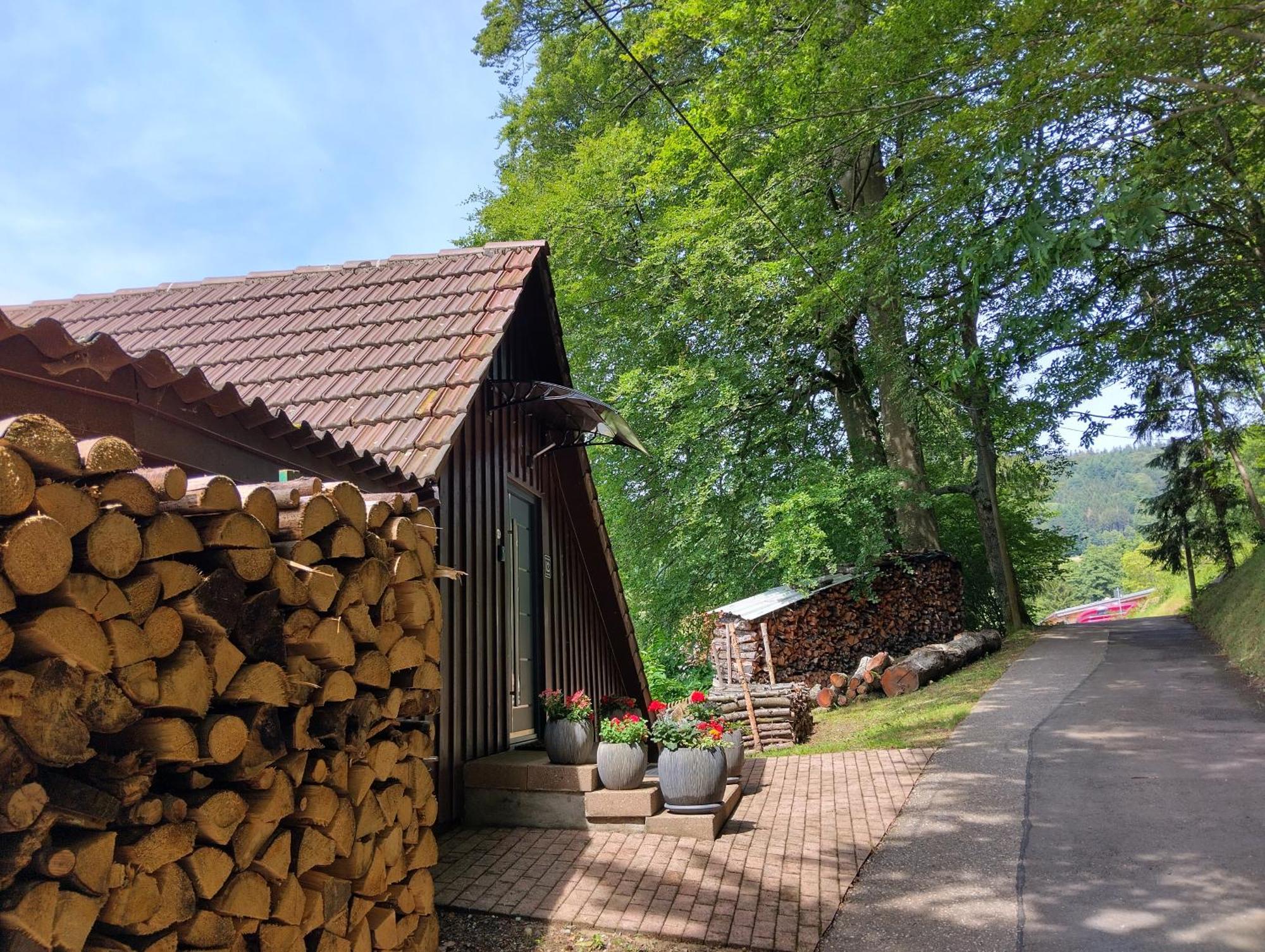 Appartamento Haus "Guck - Ins - Tal" Sasbachwalden Esterno foto