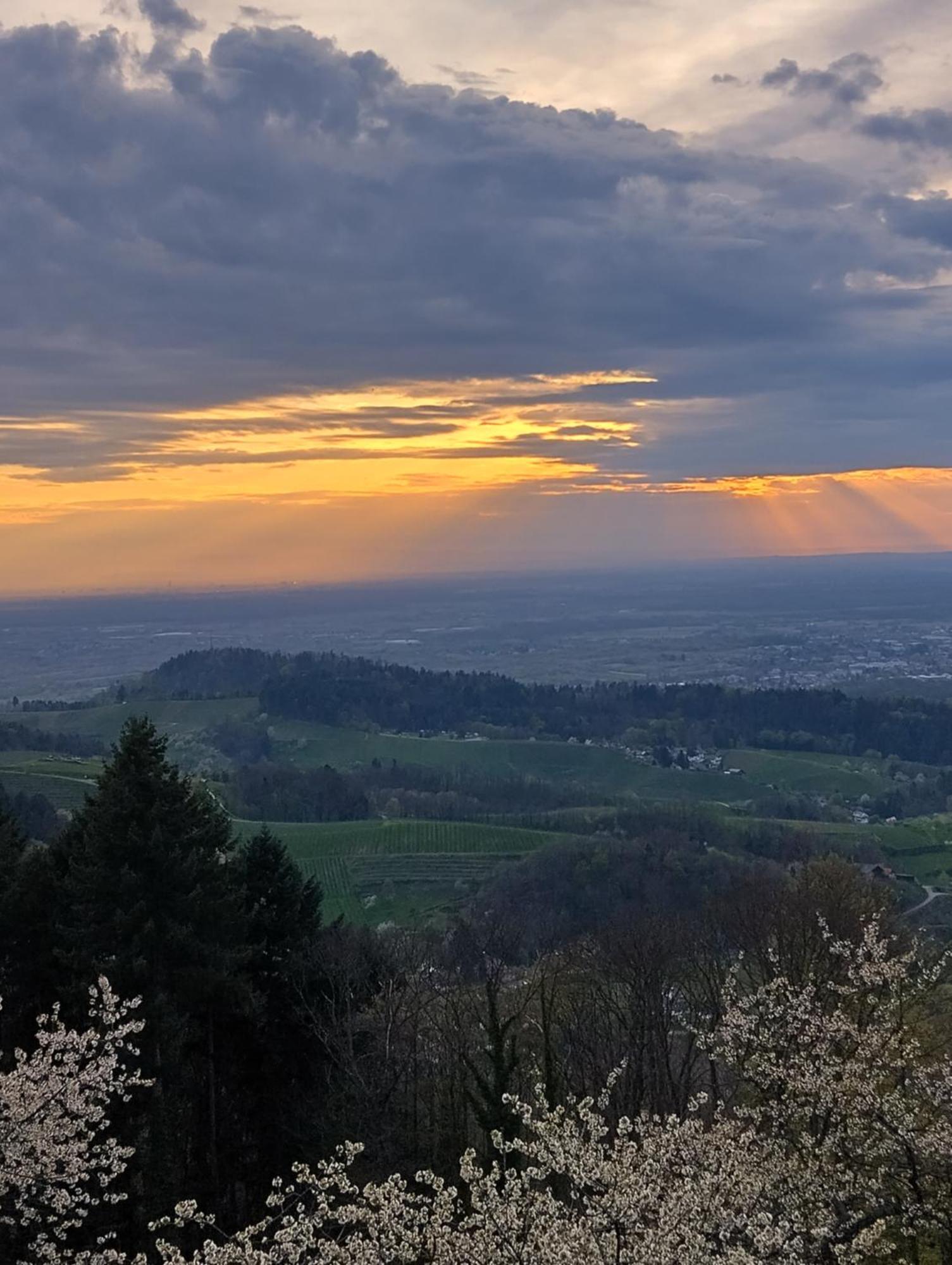 Appartamento Haus "Guck - Ins - Tal" Sasbachwalden Esterno foto